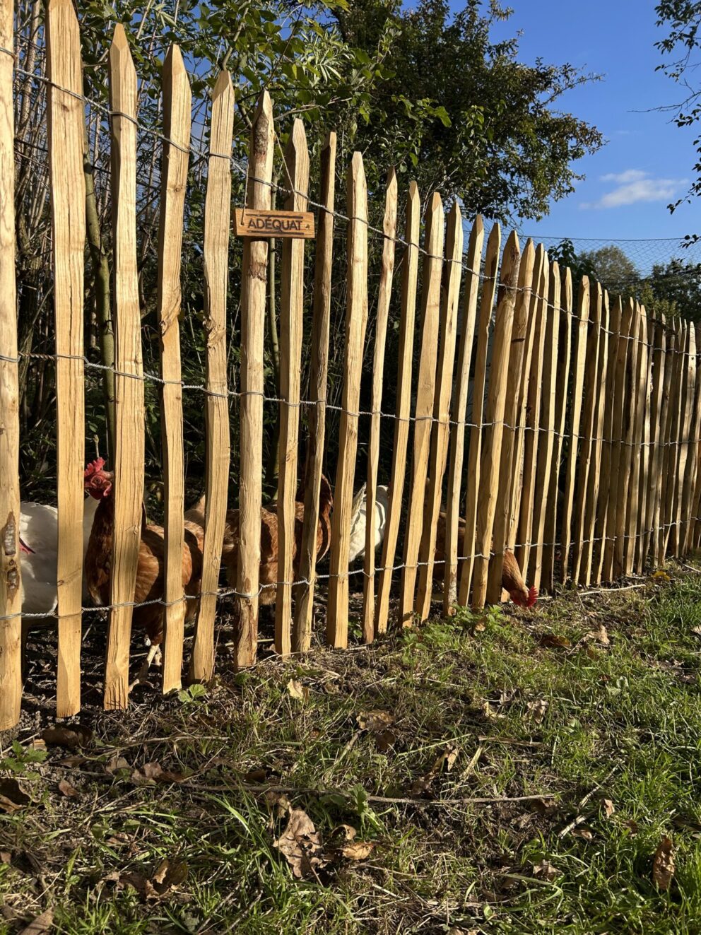 Fr. Staketenzaun Kastanien 100 cm hoch, Abstand 4 cm, 2x 5m, Kastanien Pfost 150/160 cm lang, Ø 7-9 cm - mit Spitze, Kastanien Pfost 175 cm lang, Ø 10-12 cm - mit Spitze, Staketenzauntor Kastanie einzeln 100Bx100H (cm), Staketenzauntor Kastanie einzeln 100Bx100H (cm)