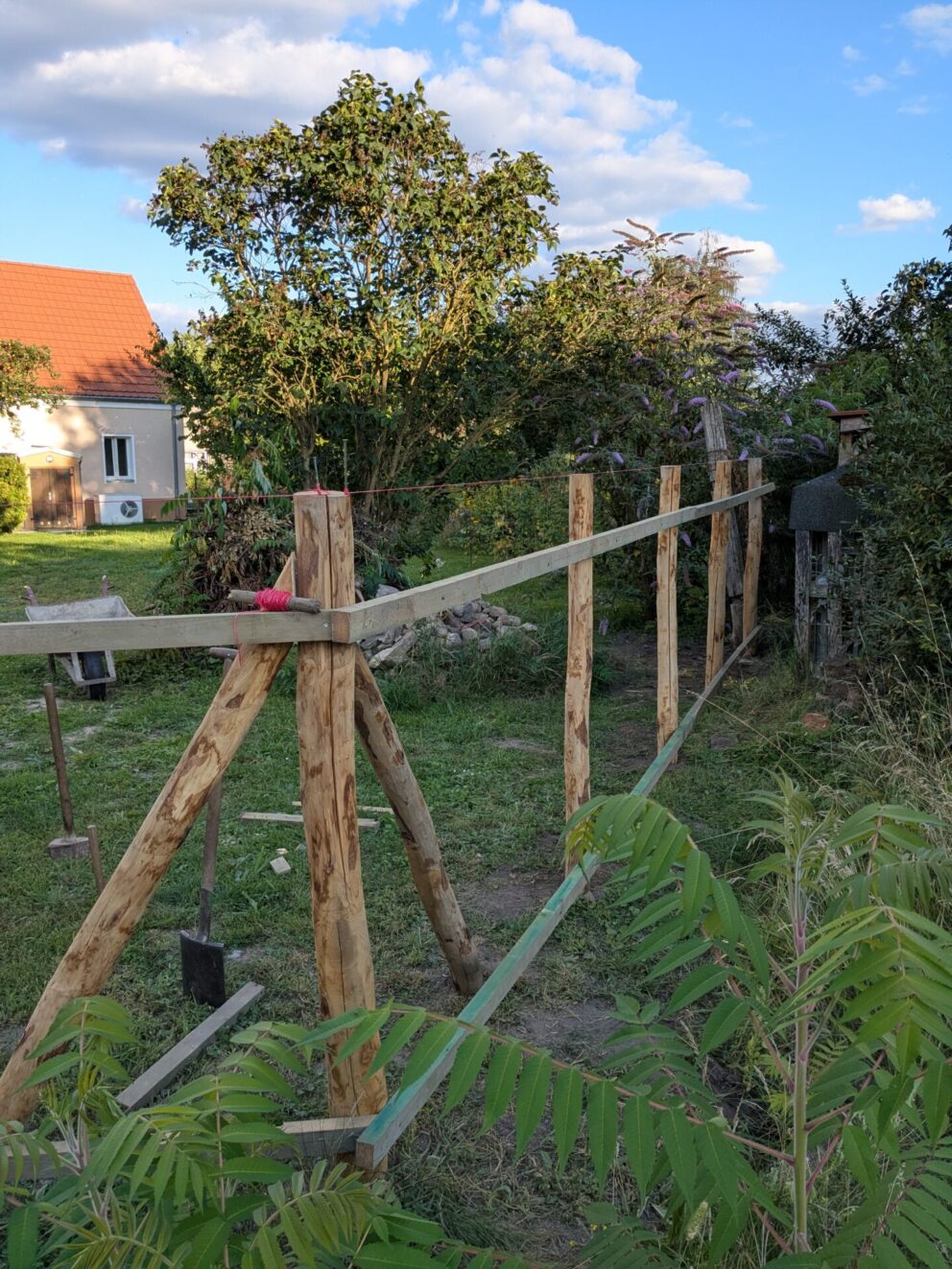 Fr. Staketenzaun Kastanien 150 cm hoch, Abstand 4 cm, 2x 5m Rolle und Kastanien Pfost 200 cm lang, Ø 7-9 cm - mit Spitze