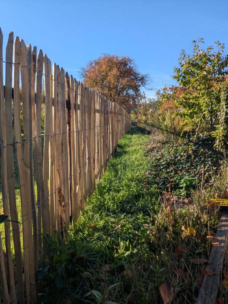 Fr. Staketenzaun Kastanien 150 cm hoch, Abstand 4 cm, 2x 5m Rolle und Kastanien Pfost 200 cm lang, Ø 7-9 cm - mit Spitze