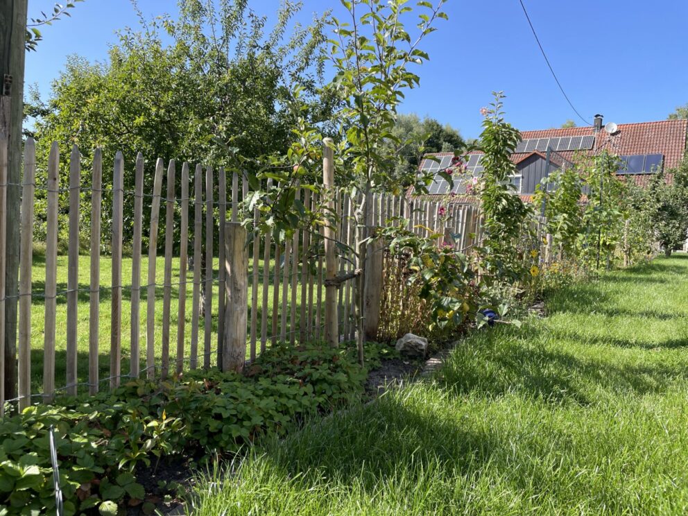 Robinie Staketenzaun Lattenabstand 4 cm 100 cm hoch