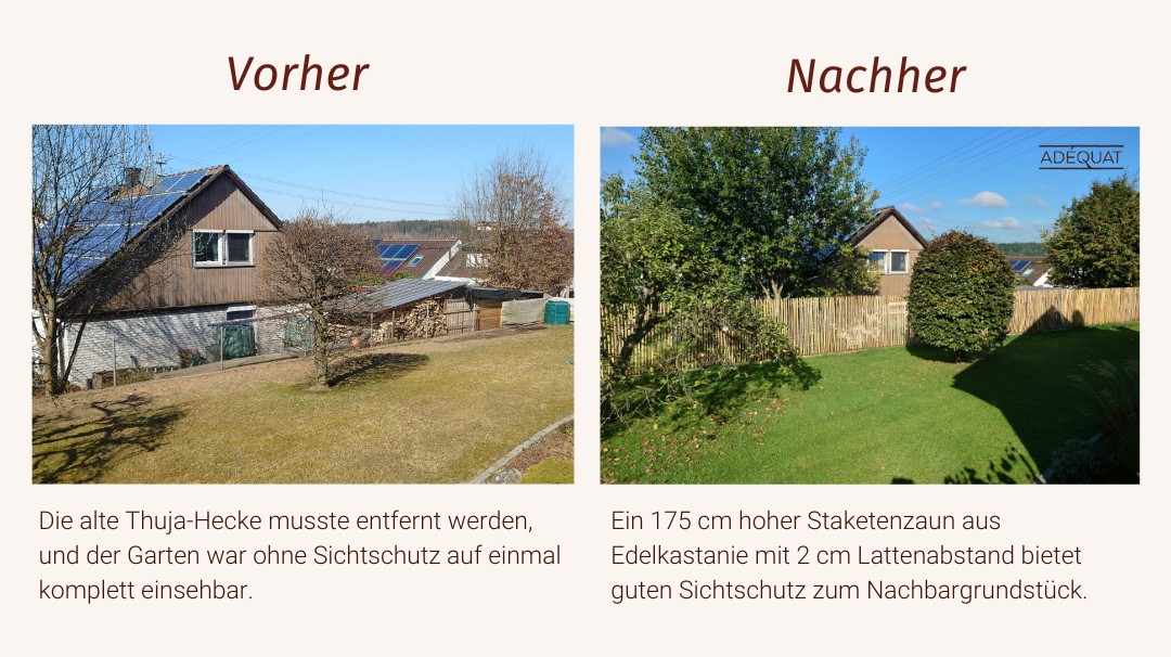 Vorher Nachher Garten umgestalten alte Thuja-Hecke Sichtschutz Staketenzaun