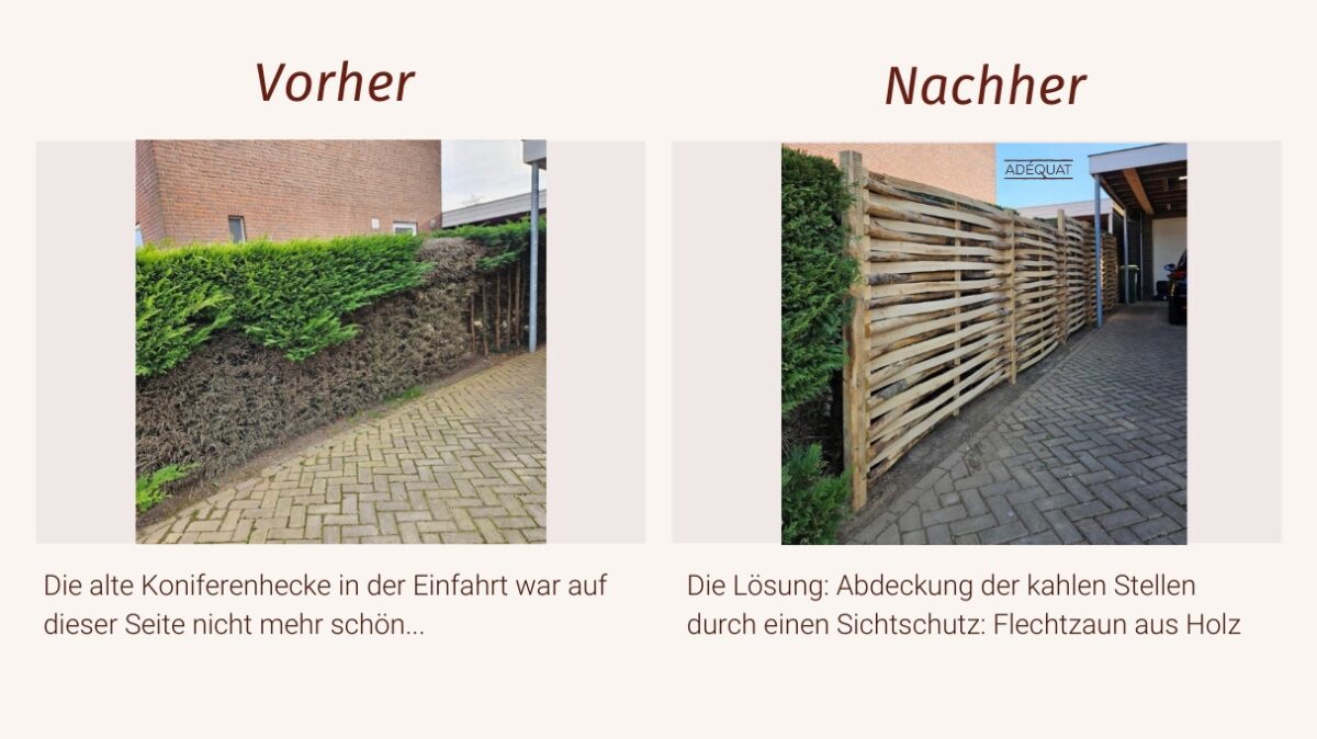 Vorher Nachher Gartengestaltung Hecke Sichtschutz