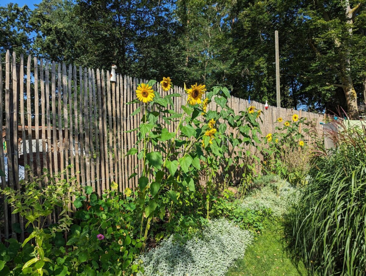 Landhausstil Zaun Holz