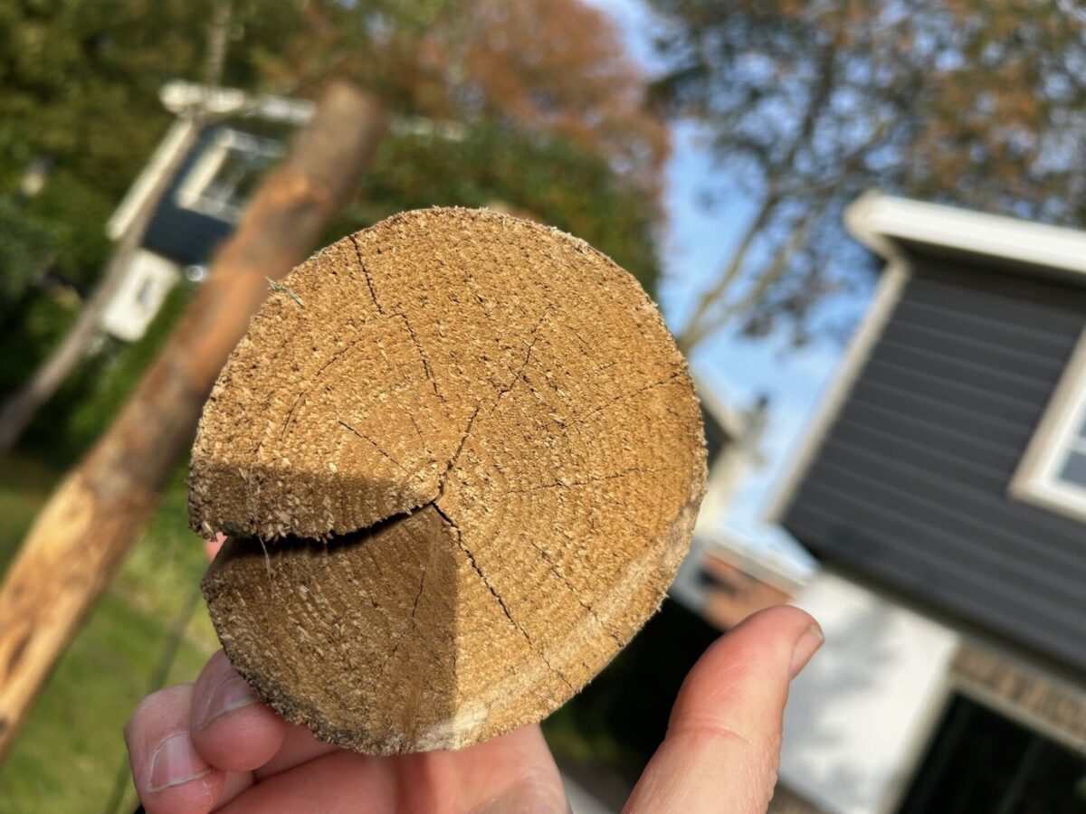 Riss Rundholzpfahl Kastanie
