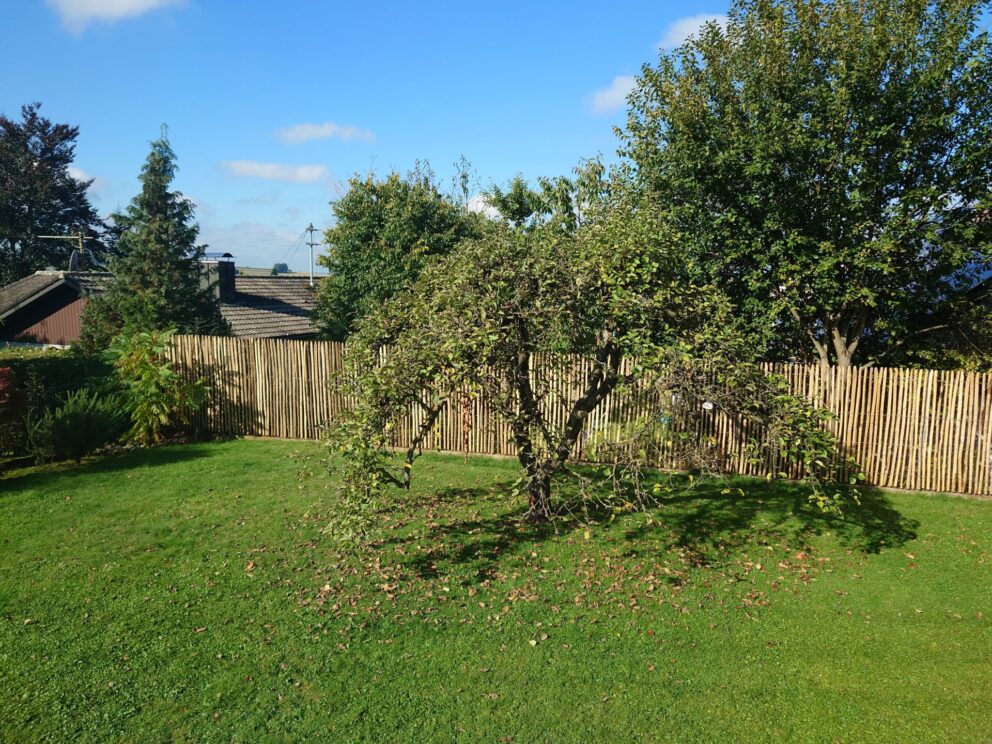 Staketenzaun Edelkastanie 175 cm hoch, 2 cm Lattenabstand