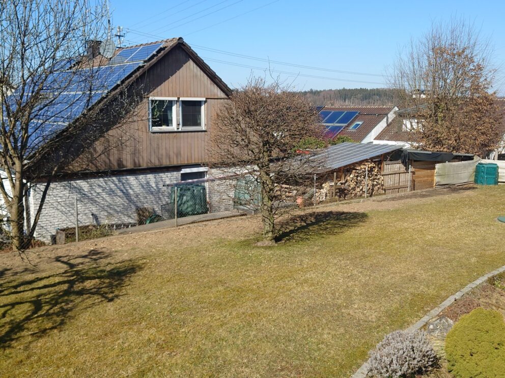 Vorher: alte Thujahecke wurde entfernt