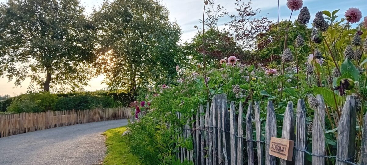 Zaun Landhausstil Staketenzaun Kastanie 80 cm hoch, 4 cm Lattenabstand