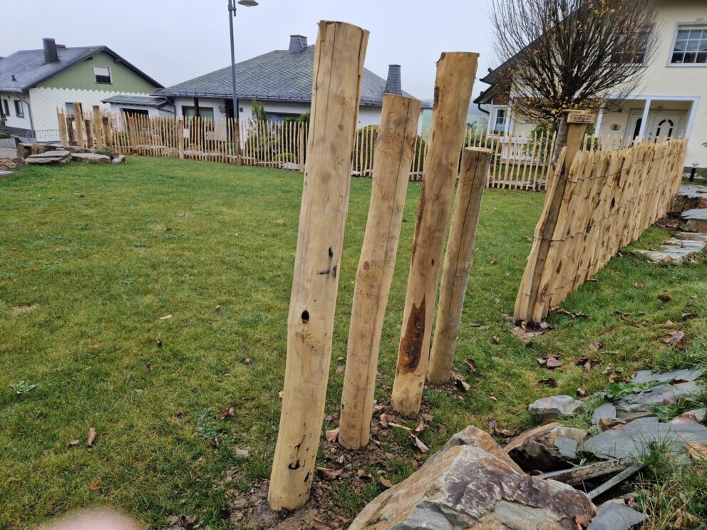 Fr. Staketenzaun Kastanien 100 cm hoch, Abstand 6 cm, 10m Rol, Kastanien Pfost 150/160 cm lang, Ø 7-9 cm - mit Spitze, Kastanien Pfost 175 cm lang, Ø 10-12 cm - mit Spitze, Edelstahl Schrauben 4,5x60, pro 100 Stück, Kastanien Pfost 120 cm lang, Ø 10-12 cm - mit Spitze und Kastanien Pfost 150/160 cm lang, Ø 10-12 cm - mit Spitze