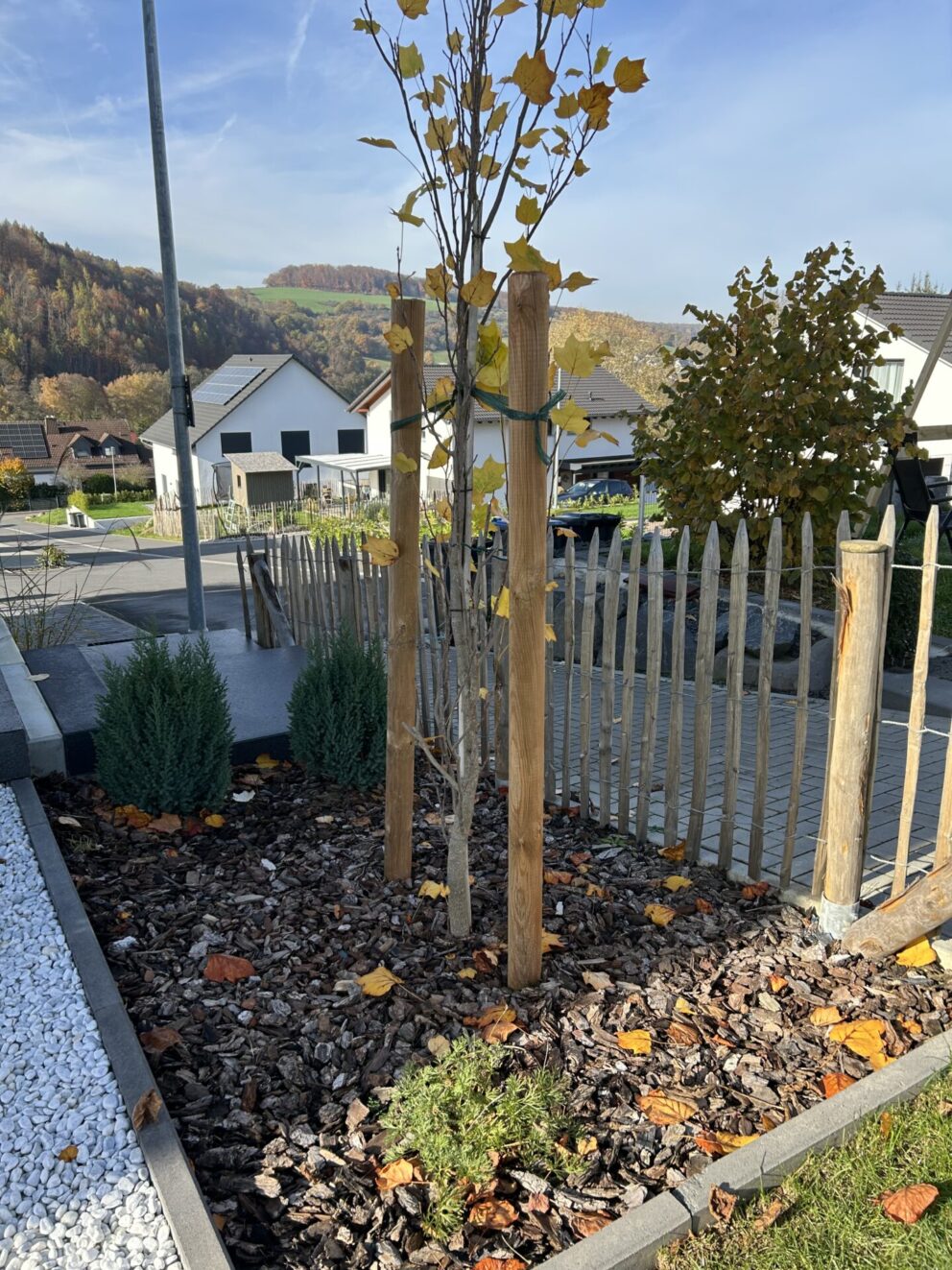 Staketenzauntor Kastanie einzeln 080Bx100H (cm), Zaunpfahl 7-9 100 cm Länge für Bodenhülse, Bodenhülse / Einschlaghülse 8 cm, Edelstahl Schrauben 4,5x60, pro 100 Stück, Fr. Staketenzaun Kastanien 100 cm hoch, Abstand 8 cm, 10m Rol und Zaunpfahl 7-9 120 cm Länge für Bodenhülse