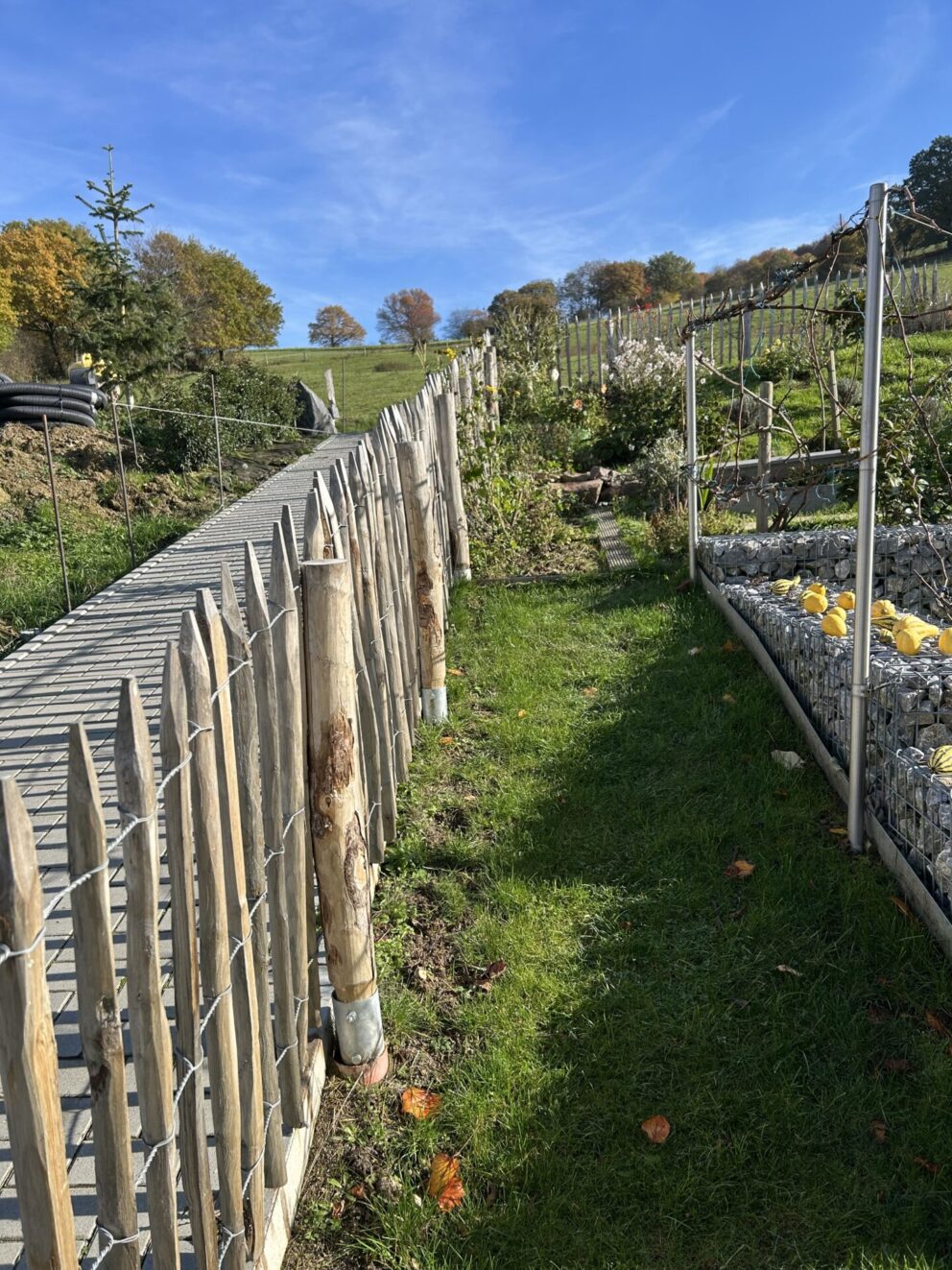 Staketenzauntor Kastanie einzeln 080Bx100H (cm), Zaunpfahl 7-9 100 cm Länge für Bodenhülse, Bodenhülse / Einschlaghülse 8 cm, Edelstahl Schrauben 4,5x60, pro 100 Stück, Fr. Staketenzaun Kastanien 100 cm hoch, Abstand 8 cm, 10m Rol und Zaunpfahl 7-9 120 cm Länge für Bodenhülse