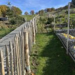 Staketenzauntor Kastanie einzeln 080Bx100H (cm), Zaunpfahl 7-9 100 cm Länge für Bodenhülse, Bodenhülse / Einschlaghülse 8 cm, Edelstahl Schrauben 4,5x60, pro 100 Stück, Fr. Staketenzaun Kastanien 100 cm hoch, Abstand 8 cm, 10m Rol und Zaunpfahl 7-9 120 cm Länge für Bodenhülse