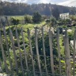 Staketenzauntor Kastanie einzeln 080Bx100H (cm), Zaunpfahl 7-9 100 cm Länge für Bodenhülse, Bodenhülse / Einschlaghülse 8 cm, Edelstahl Schrauben 4,5x60, pro 100 Stück, Fr. Staketenzaun Kastanien 100 cm hoch, Abstand 8 cm, 10m Rol und Zaunpfahl 7-9 120 cm Länge für Bodenhülse