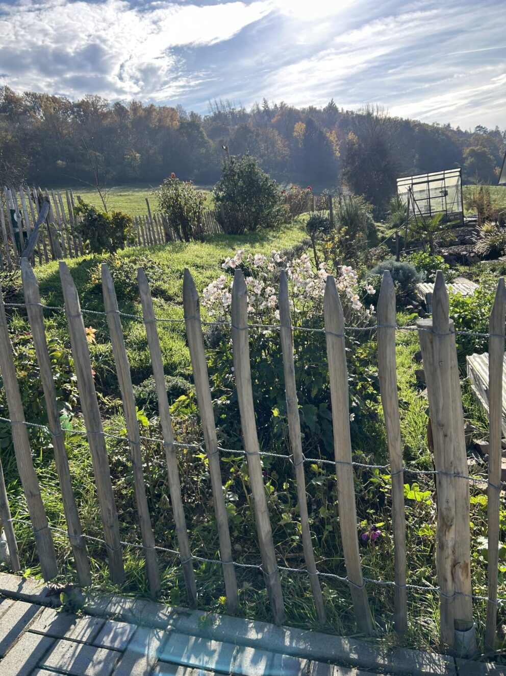 Staketenzauntor Kastanie einzeln 080Bx100H (cm), Zaunpfahl 7-9 100 cm Länge für Bodenhülse, Bodenhülse / Einschlaghülse 8 cm, Edelstahl Schrauben 4,5x60, pro 100 Stück, Fr. Staketenzaun Kastanien 100 cm hoch, Abstand 8 cm, 10m Rol und Zaunpfahl 7-9 120 cm Länge für Bodenhülse