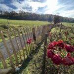 Staketenzauntor Kastanie einzeln 080Bx100H (cm), Zaunpfahl 7-9 100 cm Länge für Bodenhülse, Bodenhülse / Einschlaghülse 8 cm, Edelstahl Schrauben 4,5x60, pro 100 Stück, Fr. Staketenzaun Kastanien 100 cm hoch, Abstand 8 cm, 10m Rol und Zaunpfahl 7-9 120 cm Länge für Bodenhülse