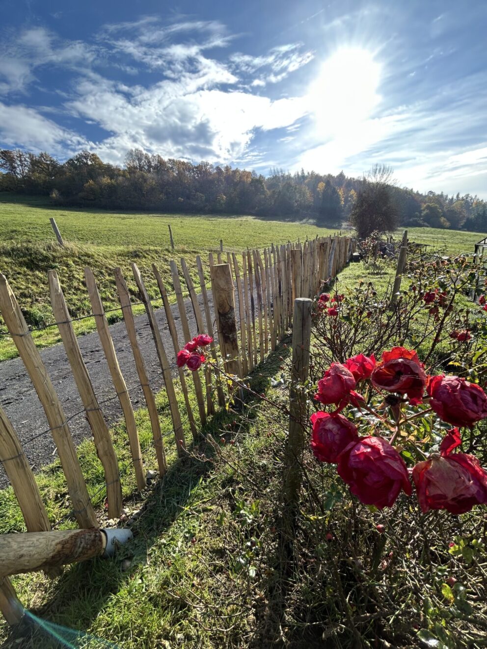 Staketenzauntor Kastanie einzeln 080Bx100H (cm), Zaunpfahl 7-9 100 cm Länge für Bodenhülse, Bodenhülse / Einschlaghülse 8 cm, Edelstahl Schrauben 4,5x60, pro 100 Stück, Fr. Staketenzaun Kastanien 100 cm hoch, Abstand 8 cm, 10m Rol und Zaunpfahl 7-9 120 cm Länge für Bodenhülse