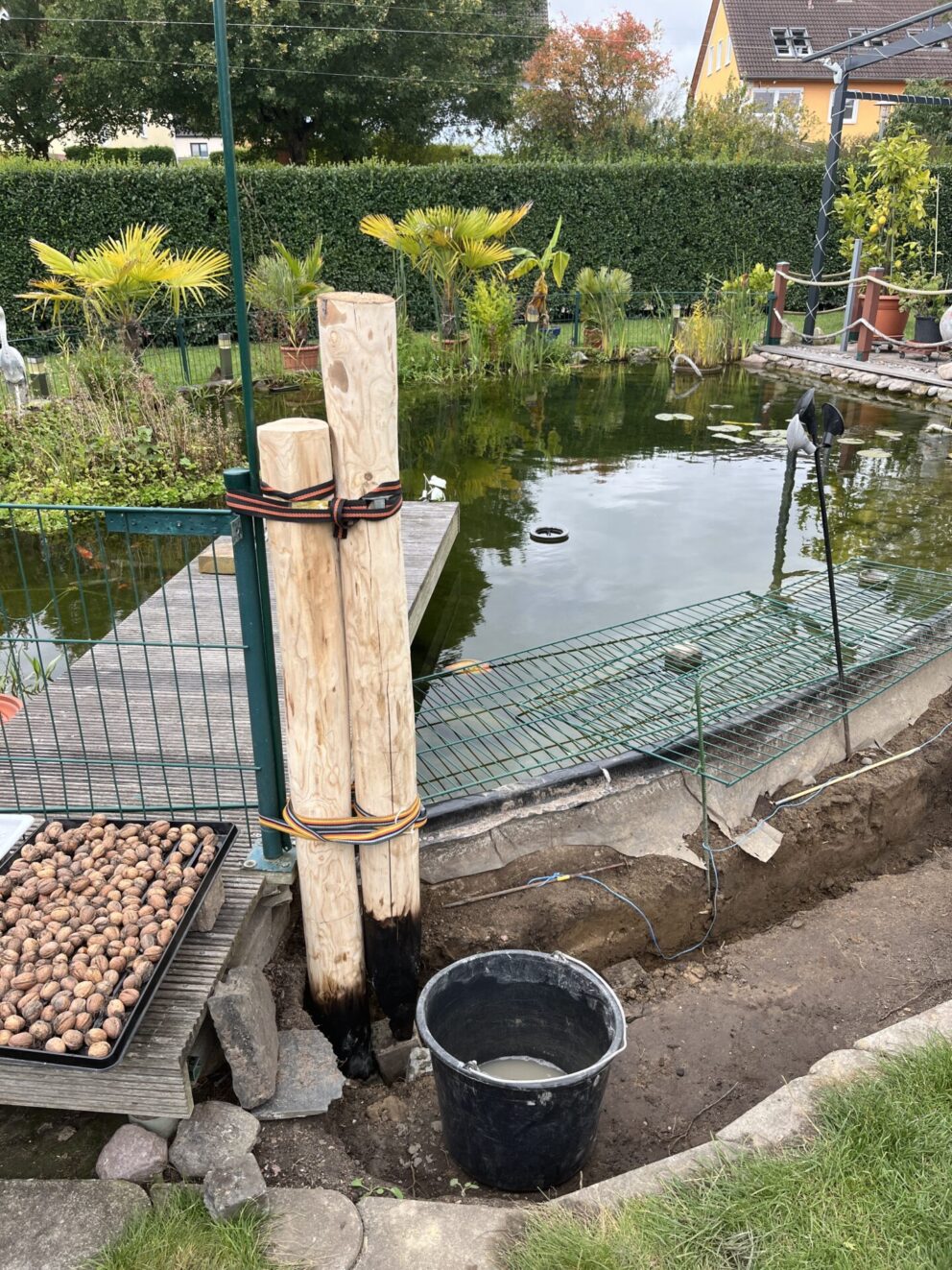 Kastanien Pfost 120 cm lang, Ø 10-12 cm, mit Spitze, Kastanien Pfost 175 cm lang, Ø 10-12 cm, mit Spitze, Kastanien Pfost 200 cm lang, Ø 10-12 cm, mit Spitze, Kastanien Pfost 250 cm lang, Ø 10-12 cm, mit Spitze und Kastanien Pfost 150/160 cm lang, Ø 10-12 cm, mit Spitze