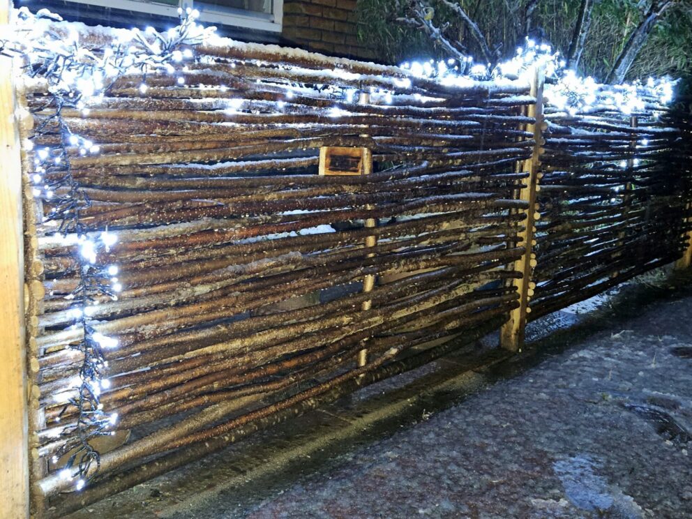 Weihnachtliche Beleuchtung: Lichterkette am Sichtschutz
