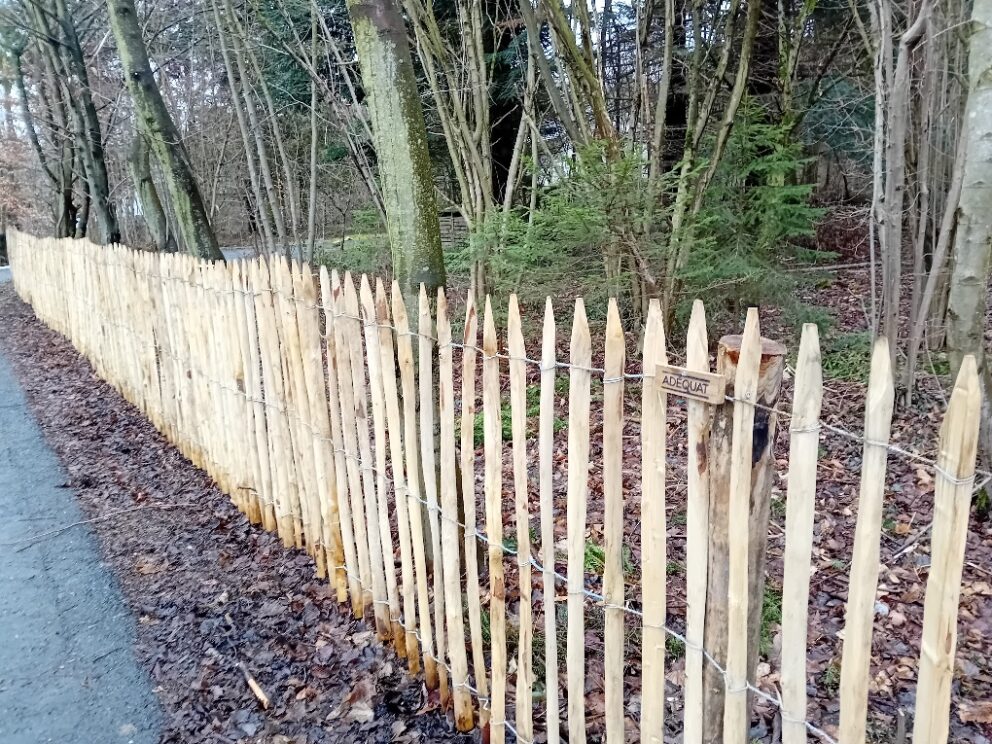 Fr. Staketenzaun Kastanien 120 cm hoch, Abstand 6 cm, 10m Rolle, Robinien Pfost 180 cm lang, Ø 8-10 cm geschält mit Spitze