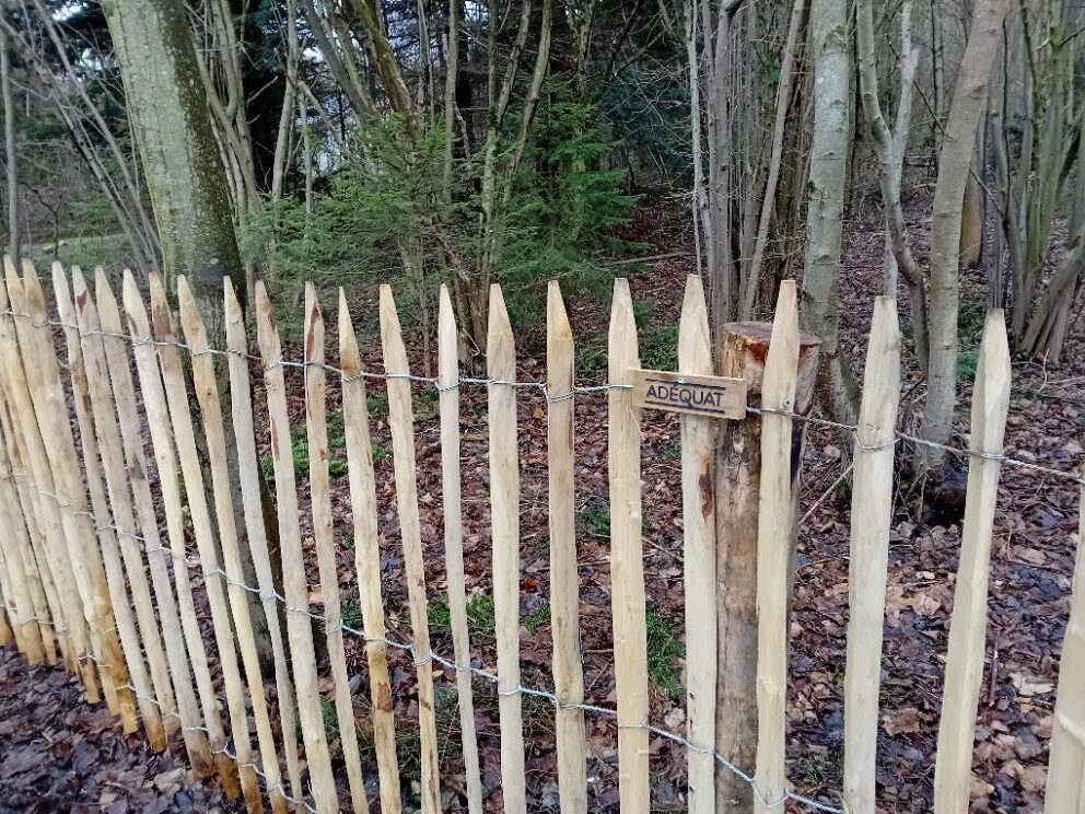 Fr. Staketenzaun Kastanien 120 cm hoch, Abstand 6 cm, 10m Rolle, Robinien Pfost 180 cm lang, Ø 8-10 cm geschält mit Spitze