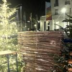 Haselnusszaun Sichtschutz Loire 1, 150B x 180H, mit Weihnachtsbaum