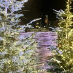 Haselnusszaun Sichtschutz Loire 1, 150B x 180H, mit Weihnachtsbaum