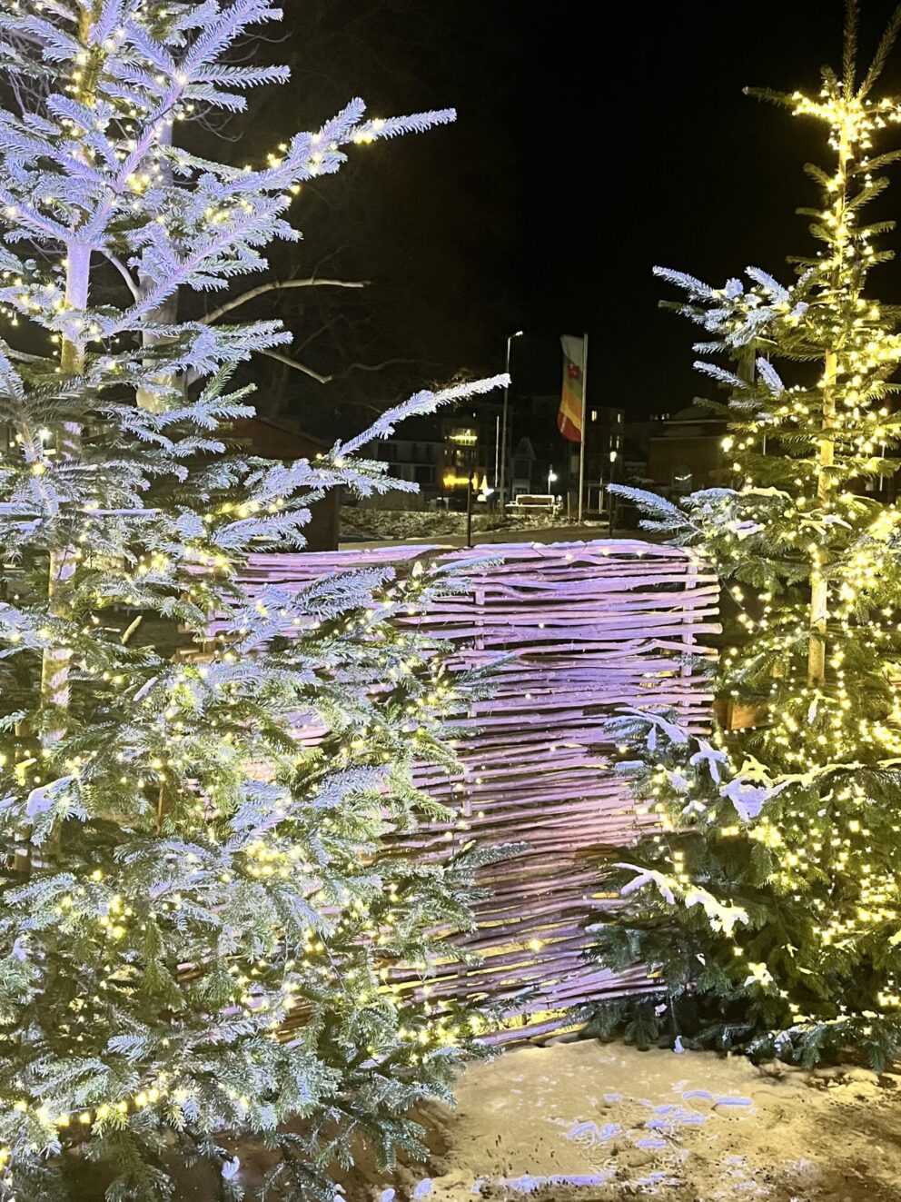 Haselnusszaun Sichtschutz Loire 1, 150B x 180H, mit Weihnachtsbaum