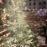 Haselnusszaun Sichtschutz Loire 1, 150B x 180H, mit Weihnachtsbaum