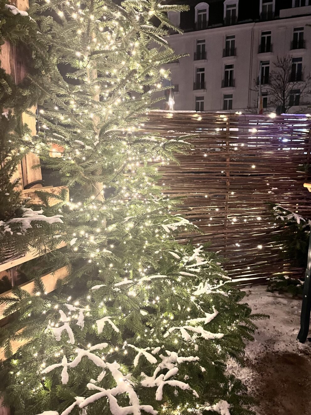 Haselnusszaun Sichtschutz Loire 1, 150B x 180H, mit Weihnachtsbaum