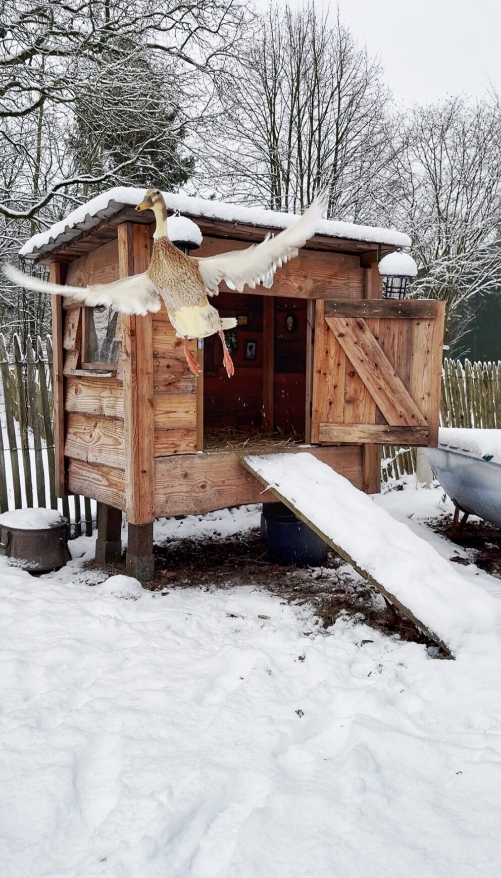 Französische Staketenzaun 80 cm hoch, 6 cm, 10m Rolle