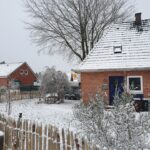 Fr. Staketenzaun Kastanien 100 cm hoch, Abstand 4 cm, 2x 5m rolle