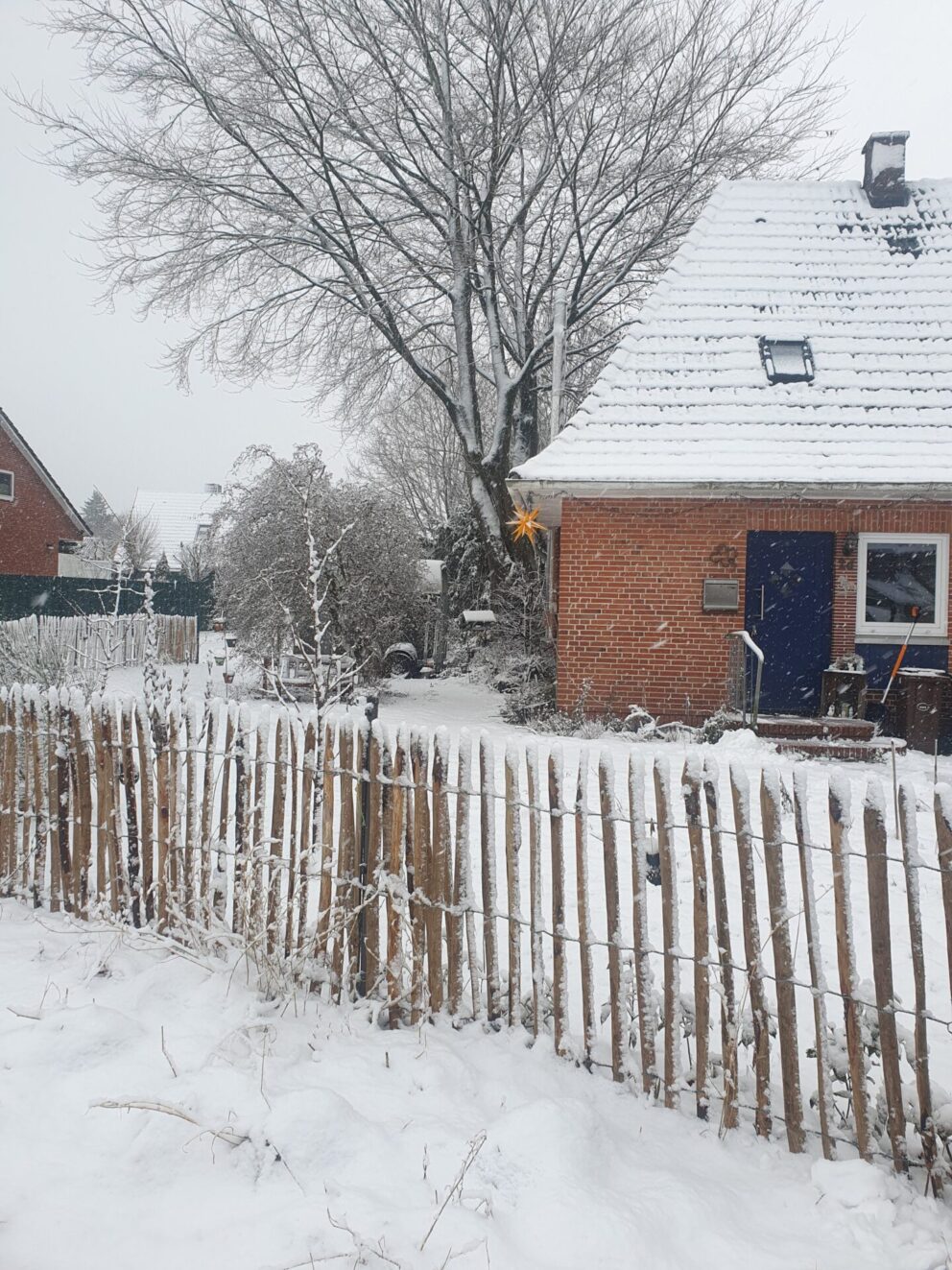 Fr. Staketenzaun Kastanien 100 cm hoch, Abstand 4 cm, 2x 5m rolle