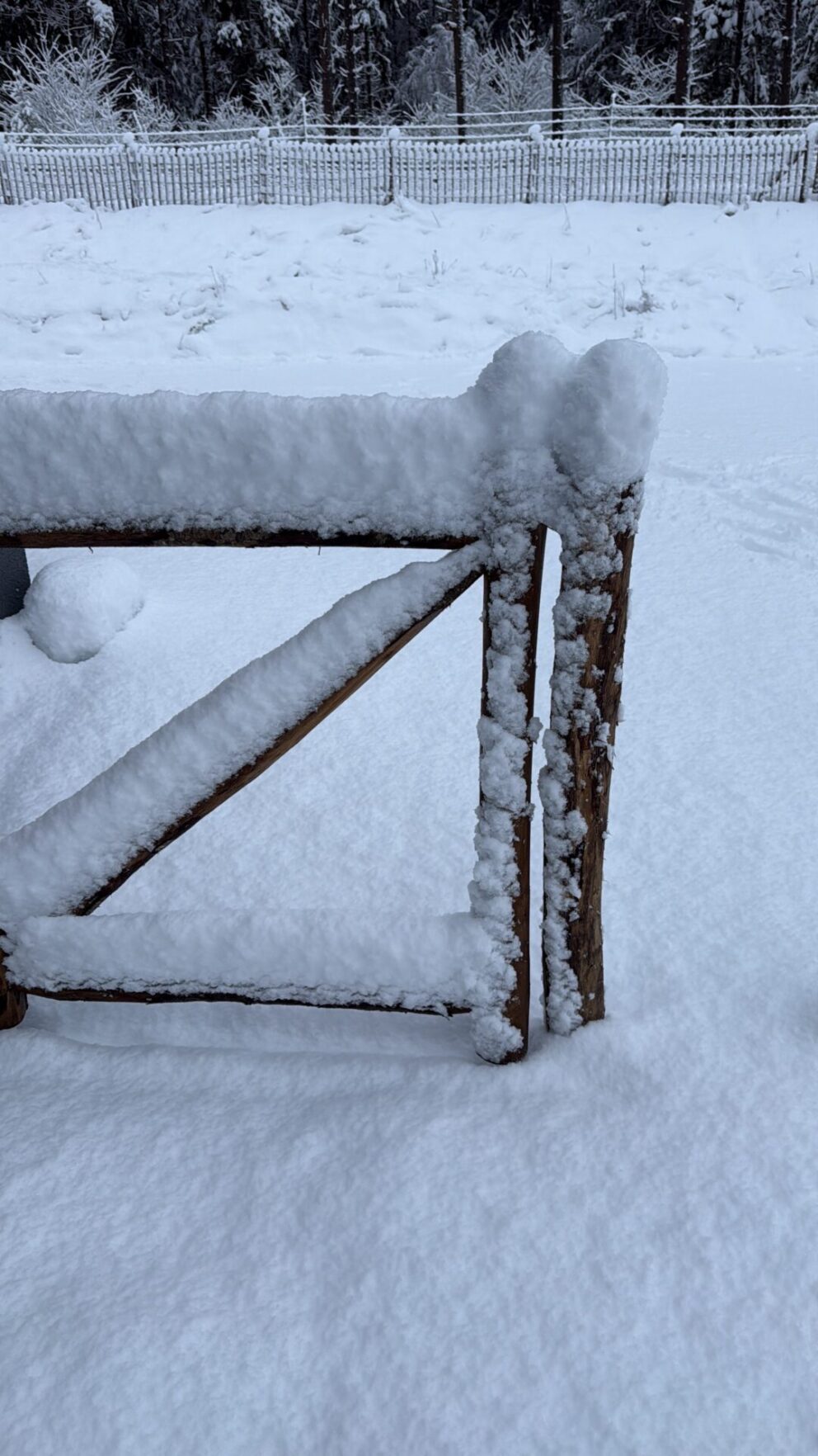 Staketenzauntor nur Rahmen Kastanie einzeln im Schnee