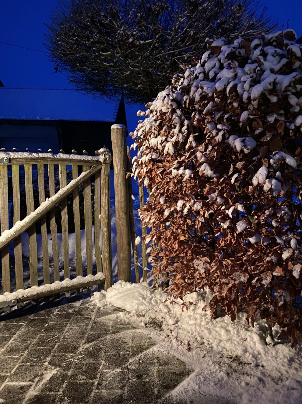 Französische Staketenzaun Tor, 120 cm hoch