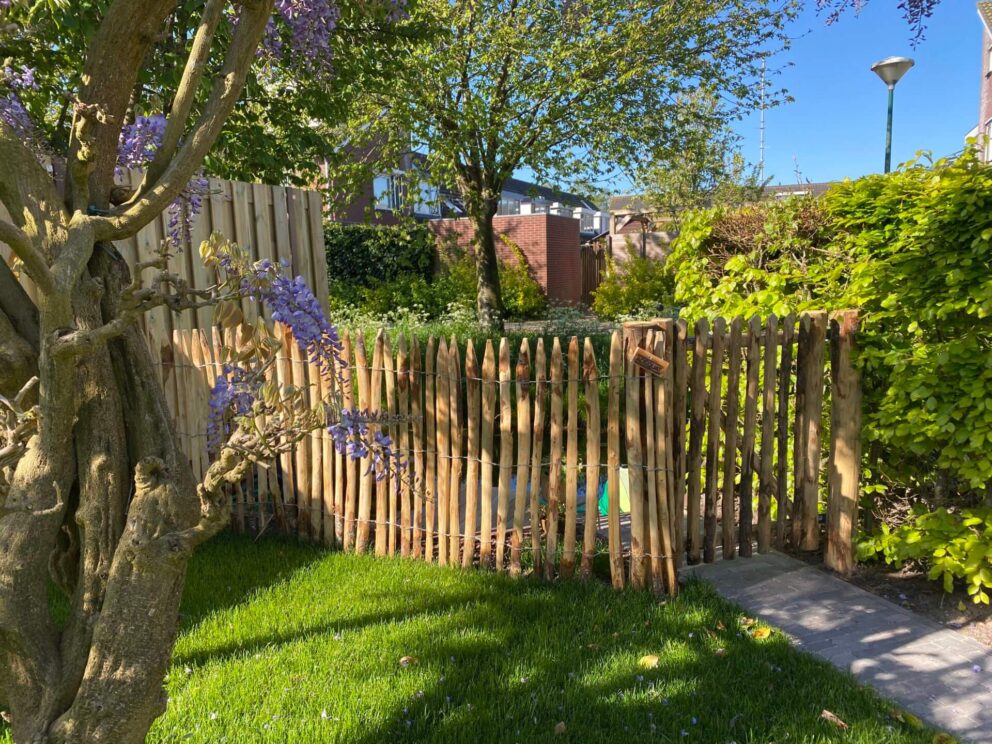 Dichter Staketenzaun enger Abstand 2 cm Kastanie 100 cm hoch Zauntor 80 cm breit 100 cm hoch