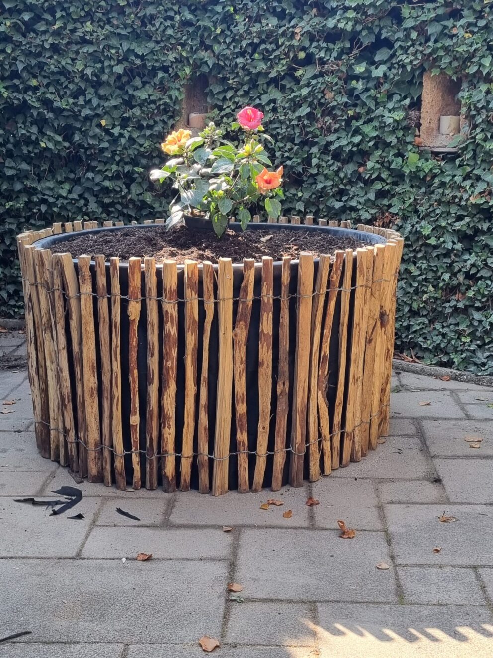 Engmaschiger Staketenzaun enger Abstand 2 cm, 80 cm hoch, Kastanie, Hochbeet Umrandung