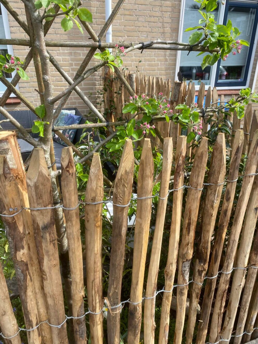 Staketenzaun enger Abstand 2 cm 120 cm hoch Edelkastanie