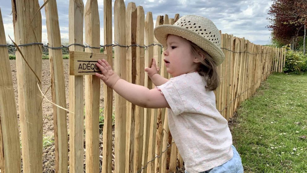 Staketenzaun enger Abstand 2 cm 80 cm hoch Kastanie