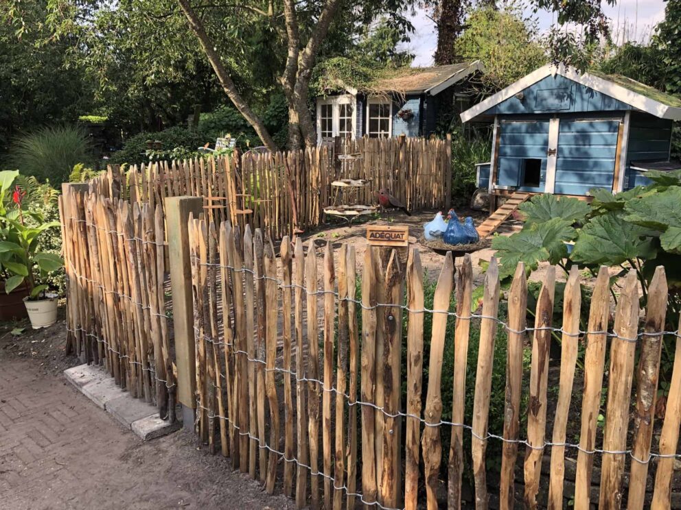 Staketenzaun enger Abstand 2 cm Lattenabstand 100 cm hoch, Kastanie