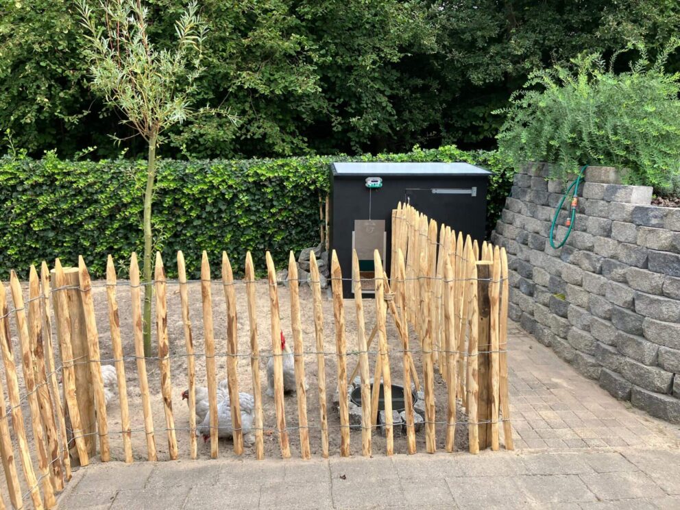 Staketenzaun Hühner 6 cm Lattenabstand 100 120 cm hoch