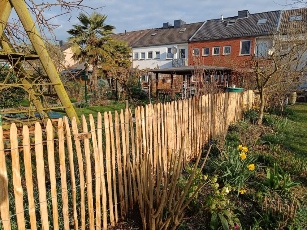 Französischer Staketenzaun Kastanie 100 cm hoch, 4 cm Lattenabstand