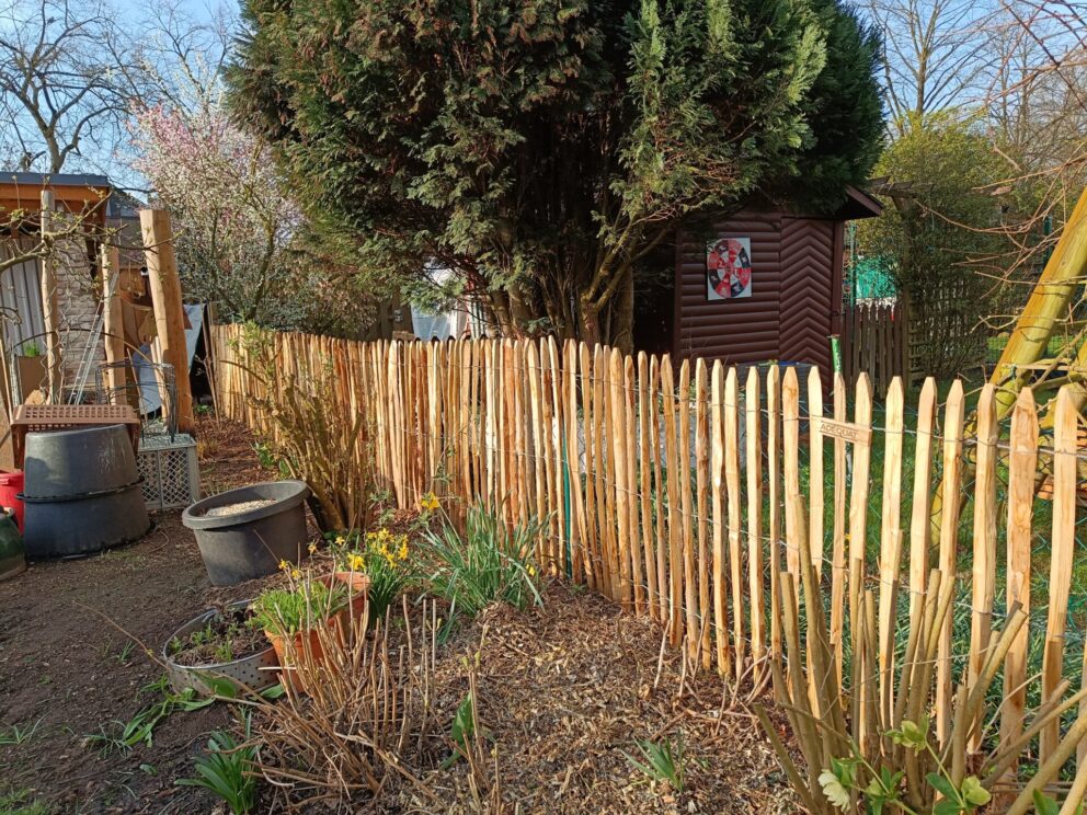 Französischer Staketenzaun Kastanie 100 cm hoch, 4 cm Lattenabstand