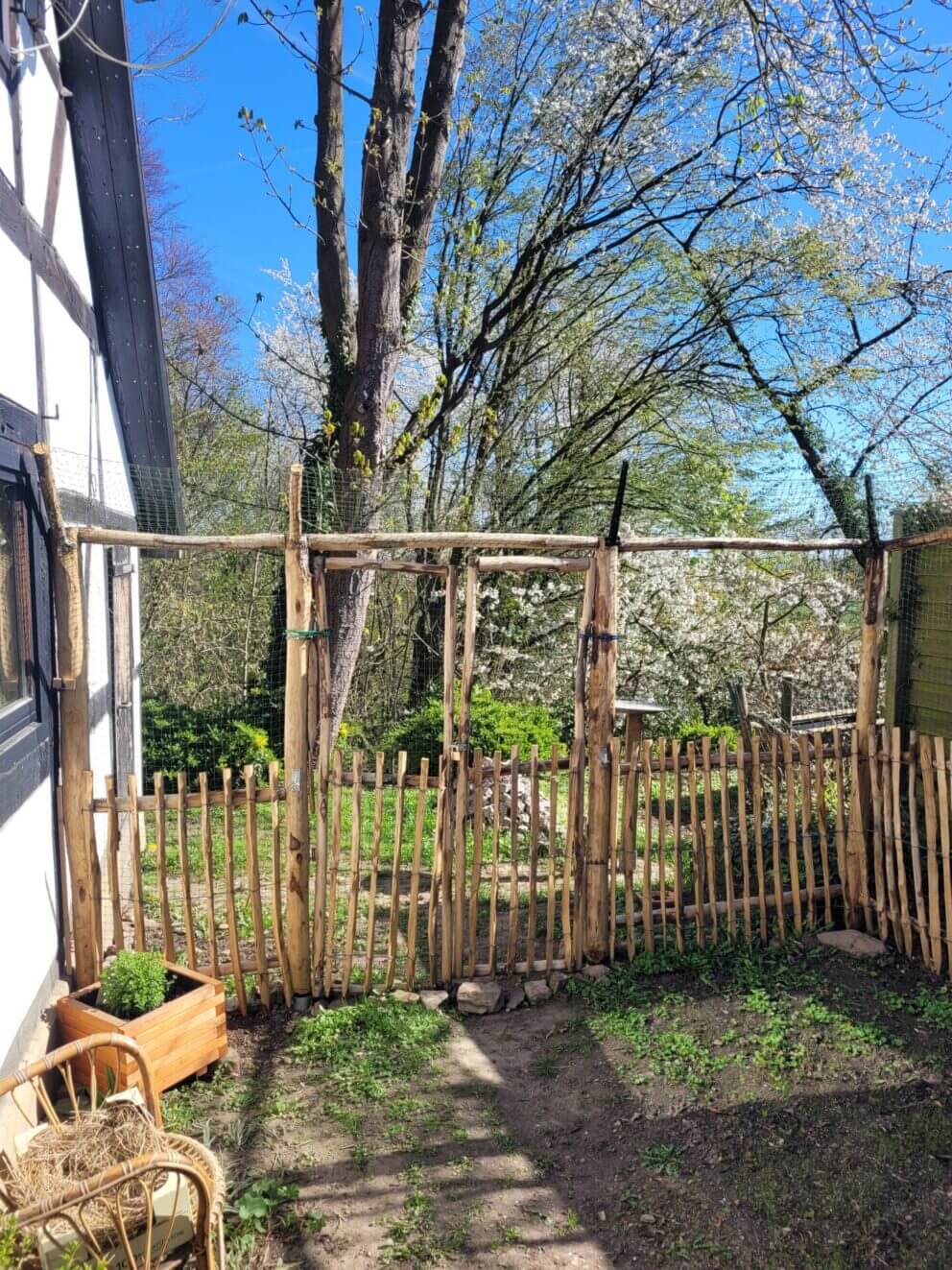 Fr. Staketenzaun Kastanien 100 cm hoch, Abstand 4 cm, 2x 5m rolle, Kastanien Pfost 200 cm lang, Ø 4-6 cm -ohne Spitze, Zaunpfahl 7-9 200 cm Länge für Bodenhülse, Bodenhülse / Einschlaghülse 8 cm und Aufschraubhülse – Pfostenträger 8 cm
