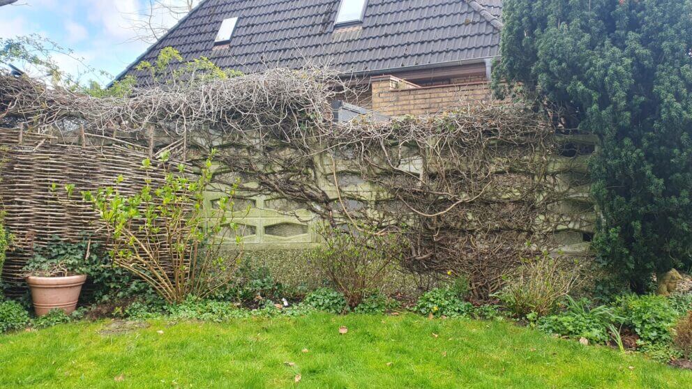 Haselnusszaun Somme 180, 180Bx180H