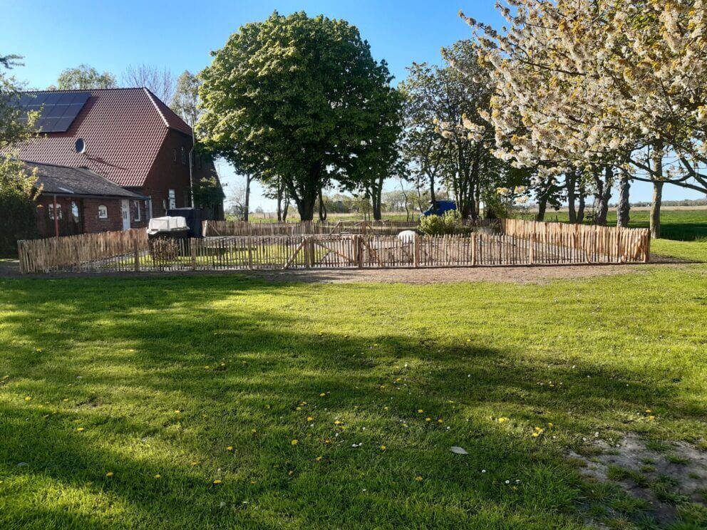 Fr. Staketenzaun Kastanien 80 cm hoch, Abstand 4 cm, 2x 5m Rolle, Kastanien Pfost 150/160 cm lang, Ø 7-9 cm - mit Spitze, Kastanien Pfost 150/160 cm lang, Ø 10-12 cm - mit Spitze, und Staketenzauntor nur Rahmen Kastanie einzeln 120Bx080H (cm), Öffnungsrichtung: Rechts