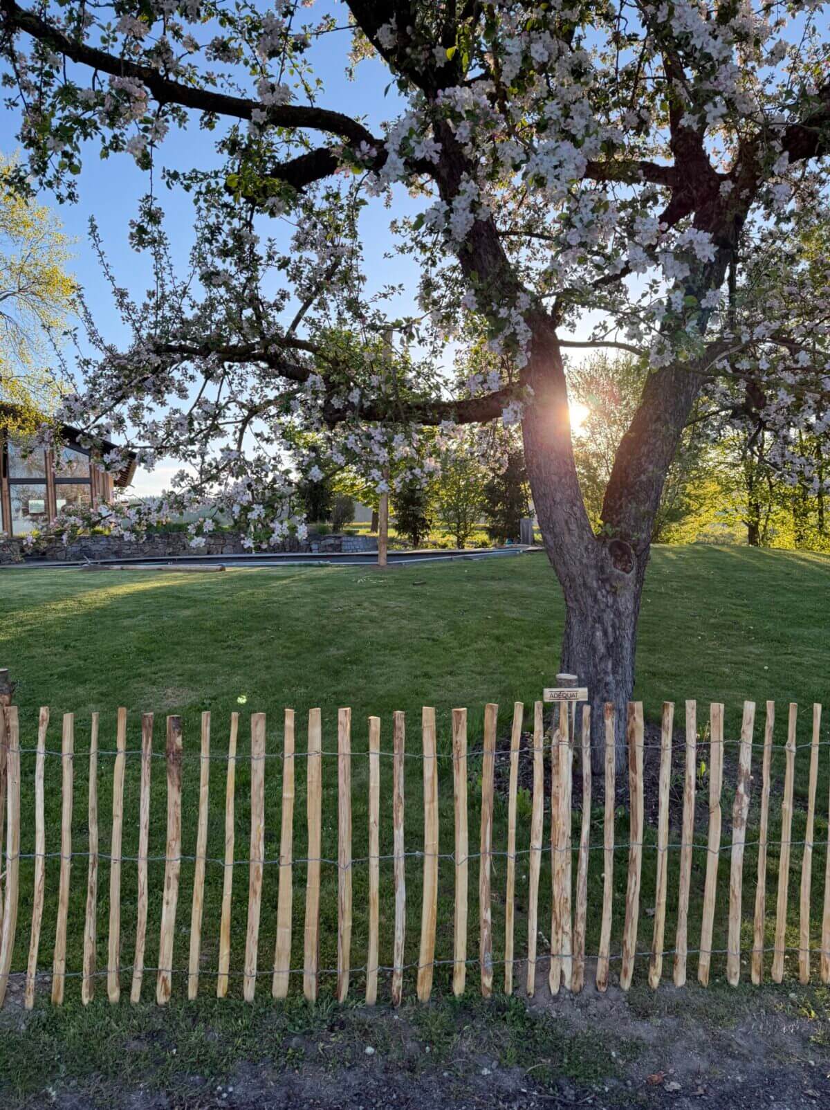 Fr. Staketenzaun Kastanien 100 cm hoch, Abstand 6 cm, 10m Rolle