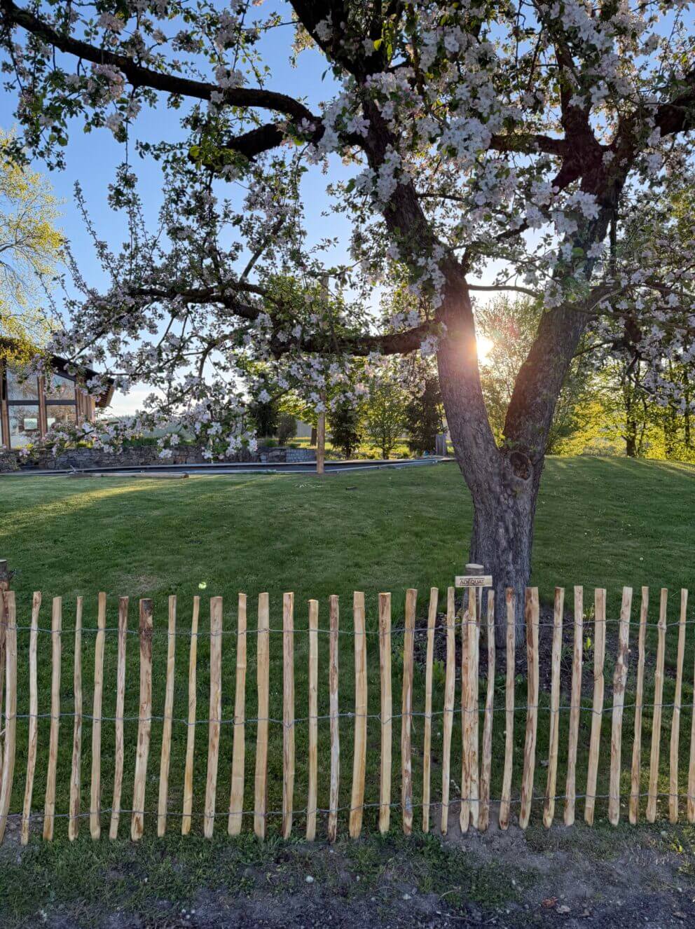 Staketenzaun Kastanie