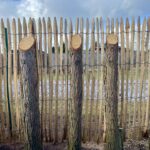 Fr. Staketenzaun Kastanien 150 cm hoch, Abstand 2 cm, 3m Rol und Edelstahl Schrauben 4,5x60, pro 100 Stück