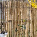 Fr. Staketenzaun Kastanien 150 cm hoch, Abstand 2 cm, 3m Rolle