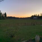 Fr. Staketenzaun Kastanien 80 cm hoch, Abstand 4 cm, 2x 5m Rolle, Zaunpfahl 7-9 80 cm Länge für Bodenhülse, Bodenhülse / Einschlaghülse 8 cm und Edelstahl Schrauben 4,5x60, pro 100 Stück