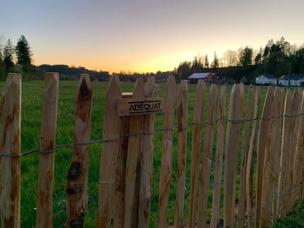 Fr. Staketenzaun Kastanien 80 cm hoch, Abstand 4 cm, 2x 5m Rolle, Zaunpfahl 7-9 80 cm Länge für Bodenhülse, Bodenhülse / Einschlaghülse 8 cm und Edelstahl Schrauben 4,5x60, pro 100 Stück